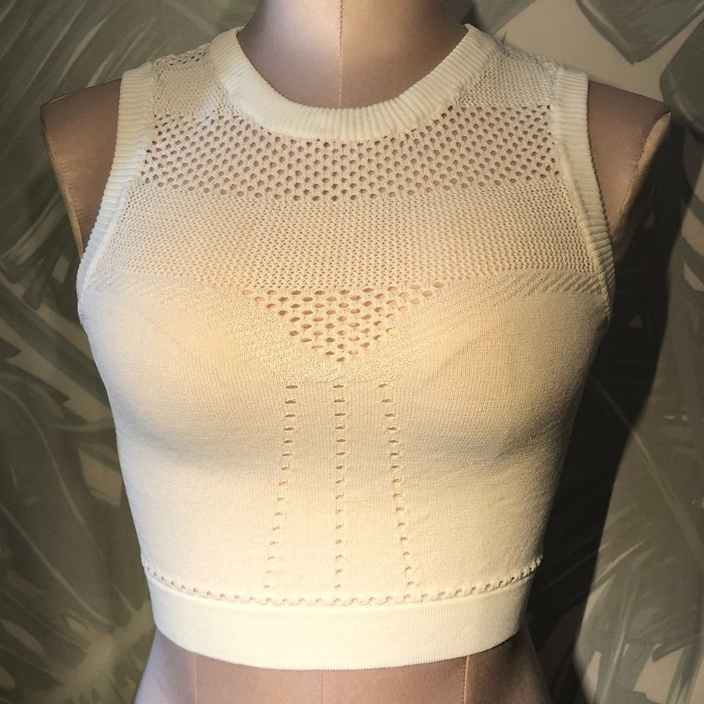 honey Mesh Crop Top